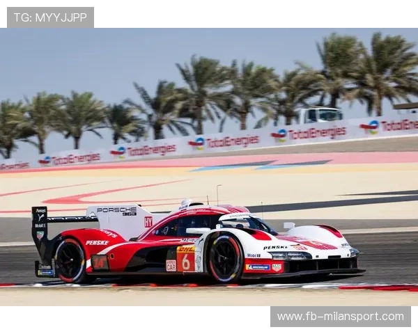 “赛车背后：团队深夜调校的坚持与智慧”，赛车团队怎么分工